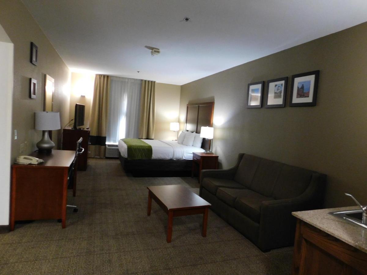 Comfort Inn & Suites Sacramento - University Area Exteriér fotografie